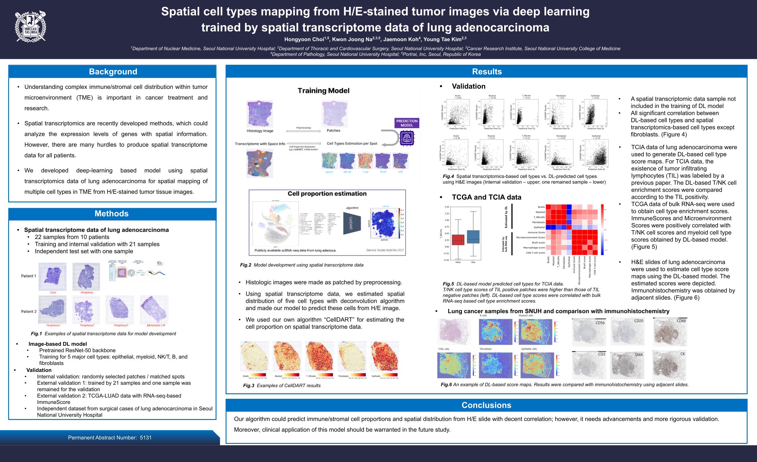lung-adenocarcinoma-he-cell-mapping.jpg