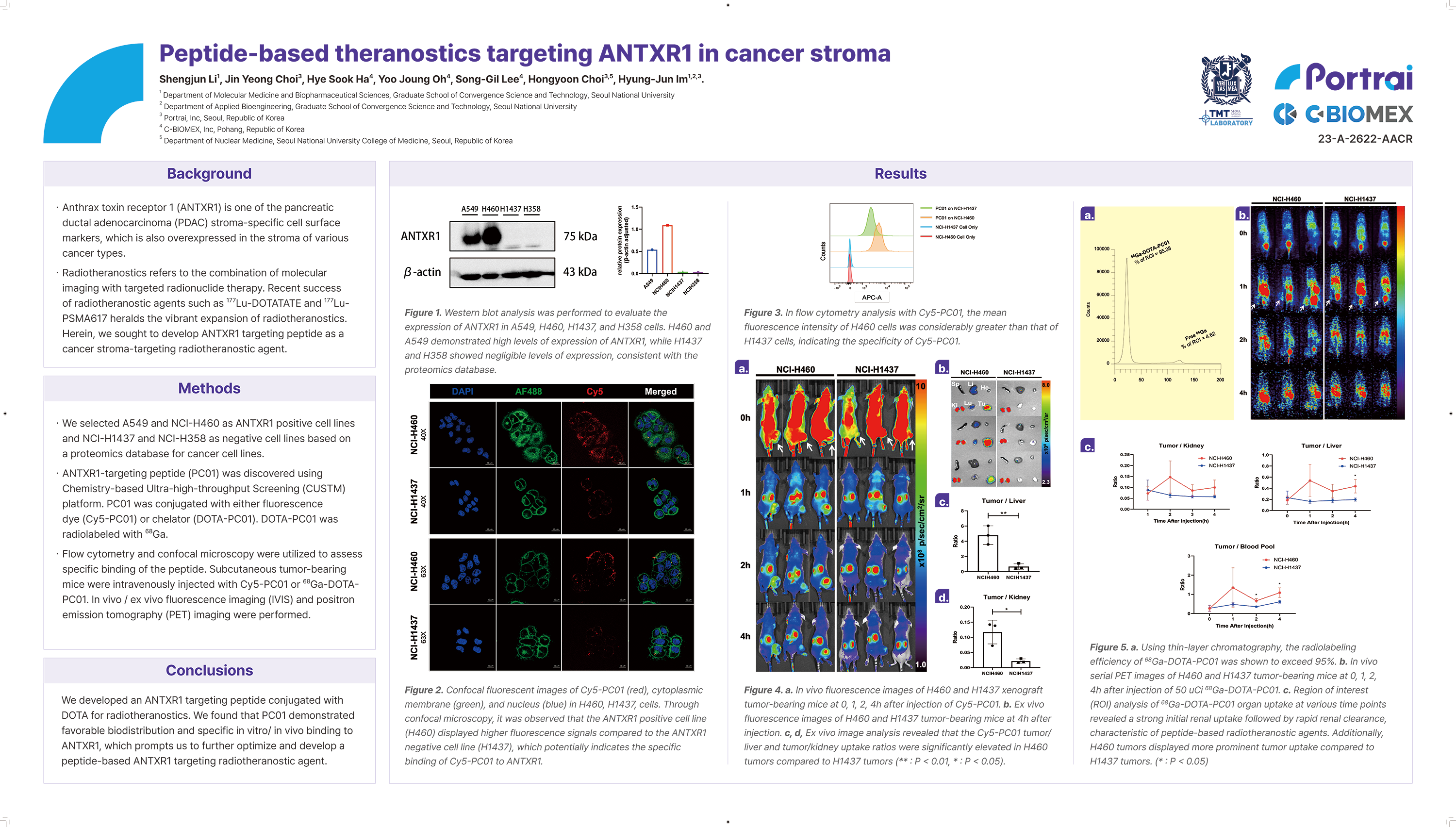 antxr1-stroma-theranostics.png